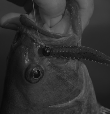 The Ned Rig