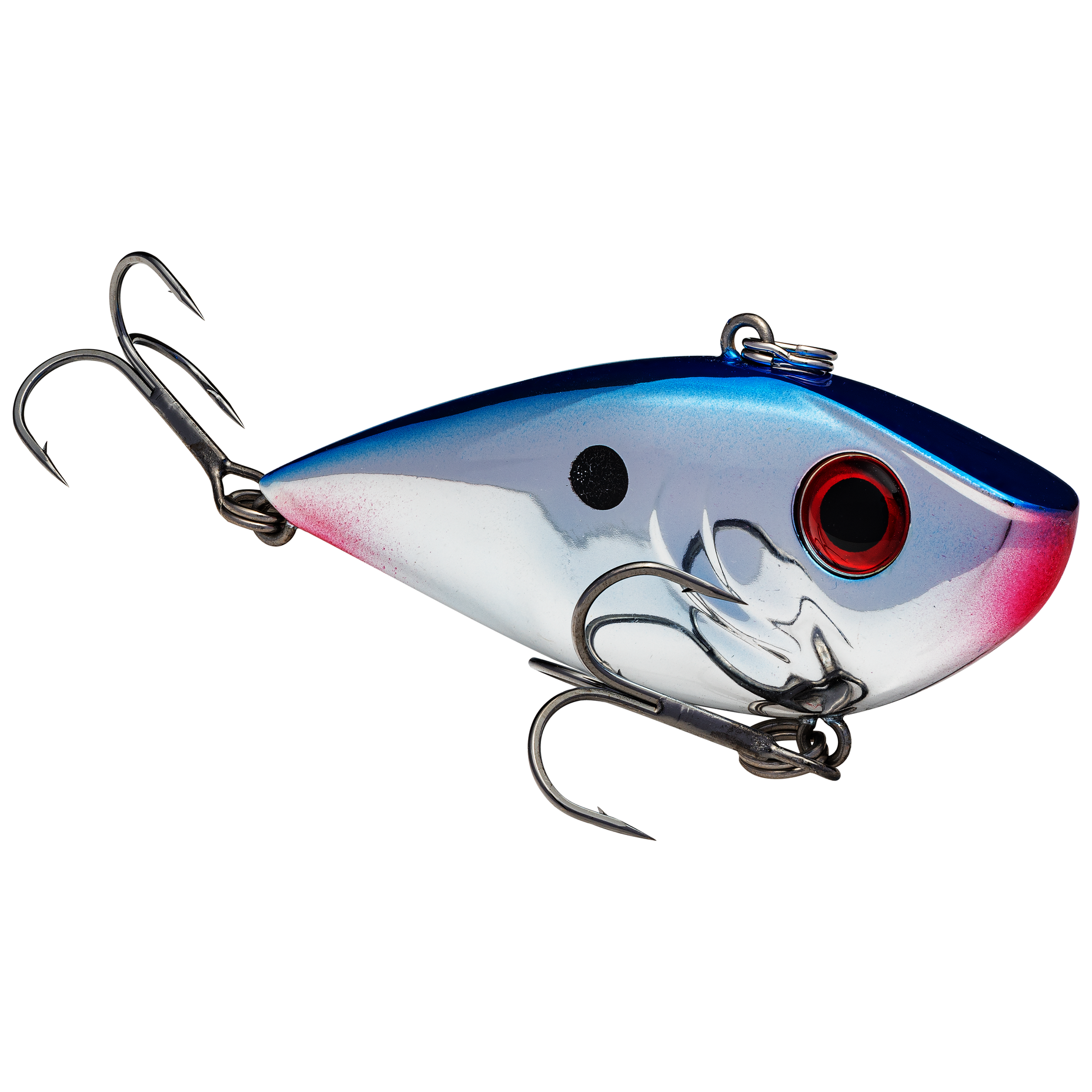 Red Eyed Shad 