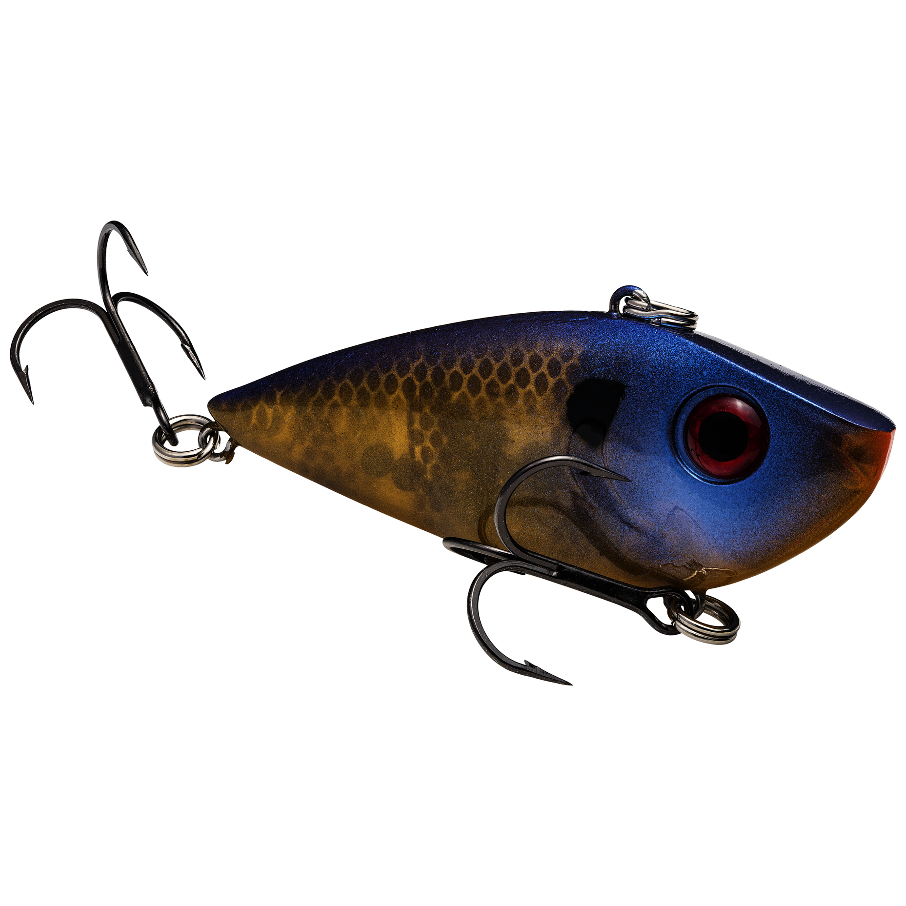 Red Eyed Shad