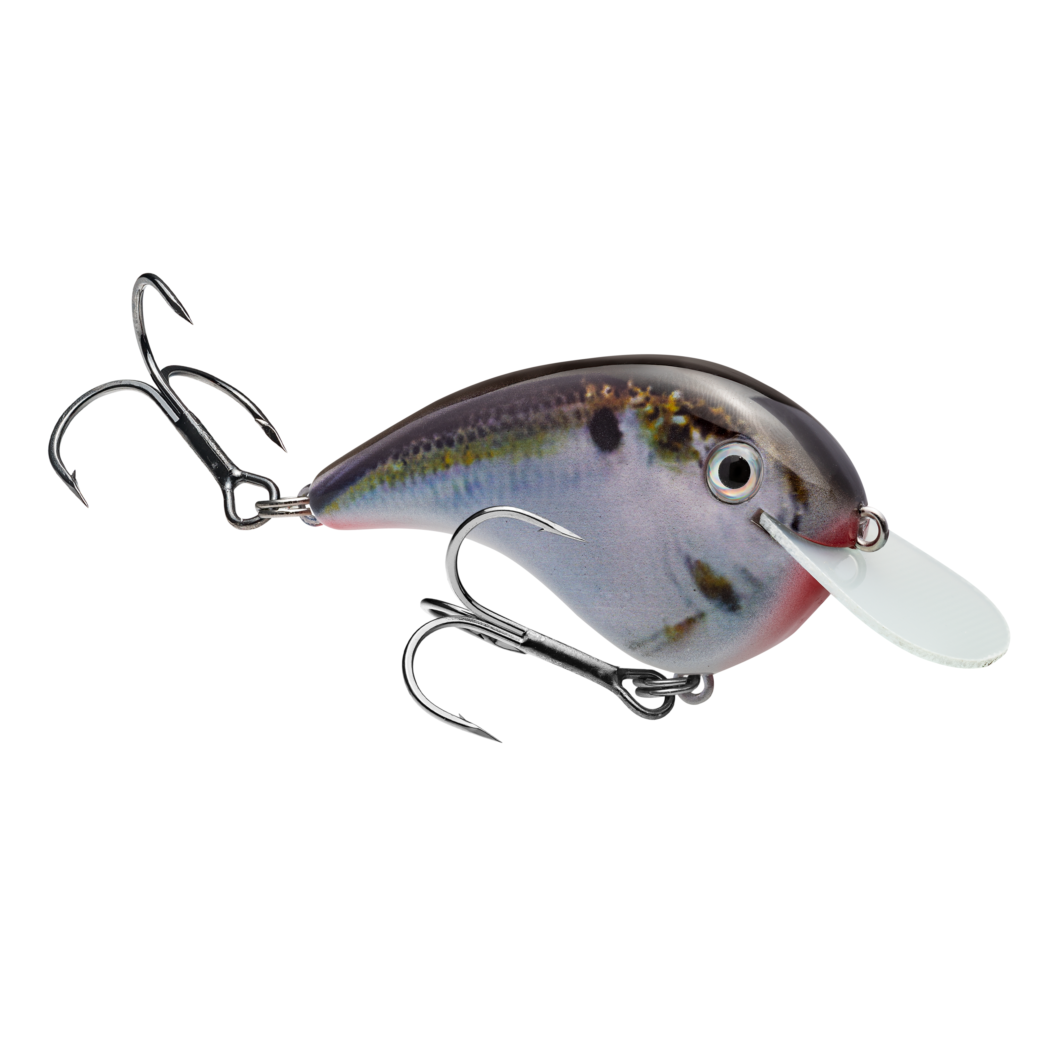 KVD SEXY DAWG CLEAR SEXY SHAD