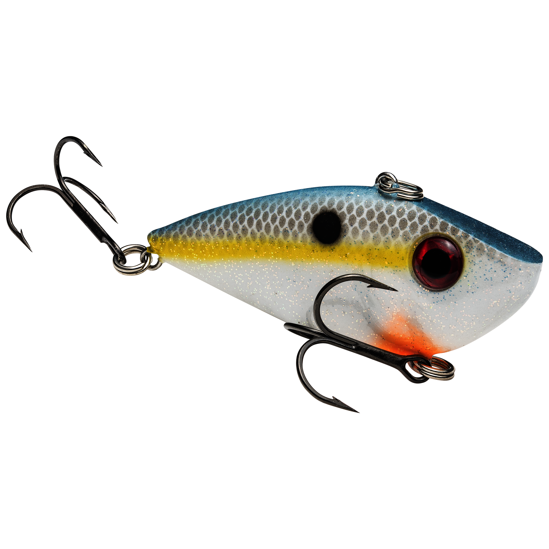 Red Eyed Shad